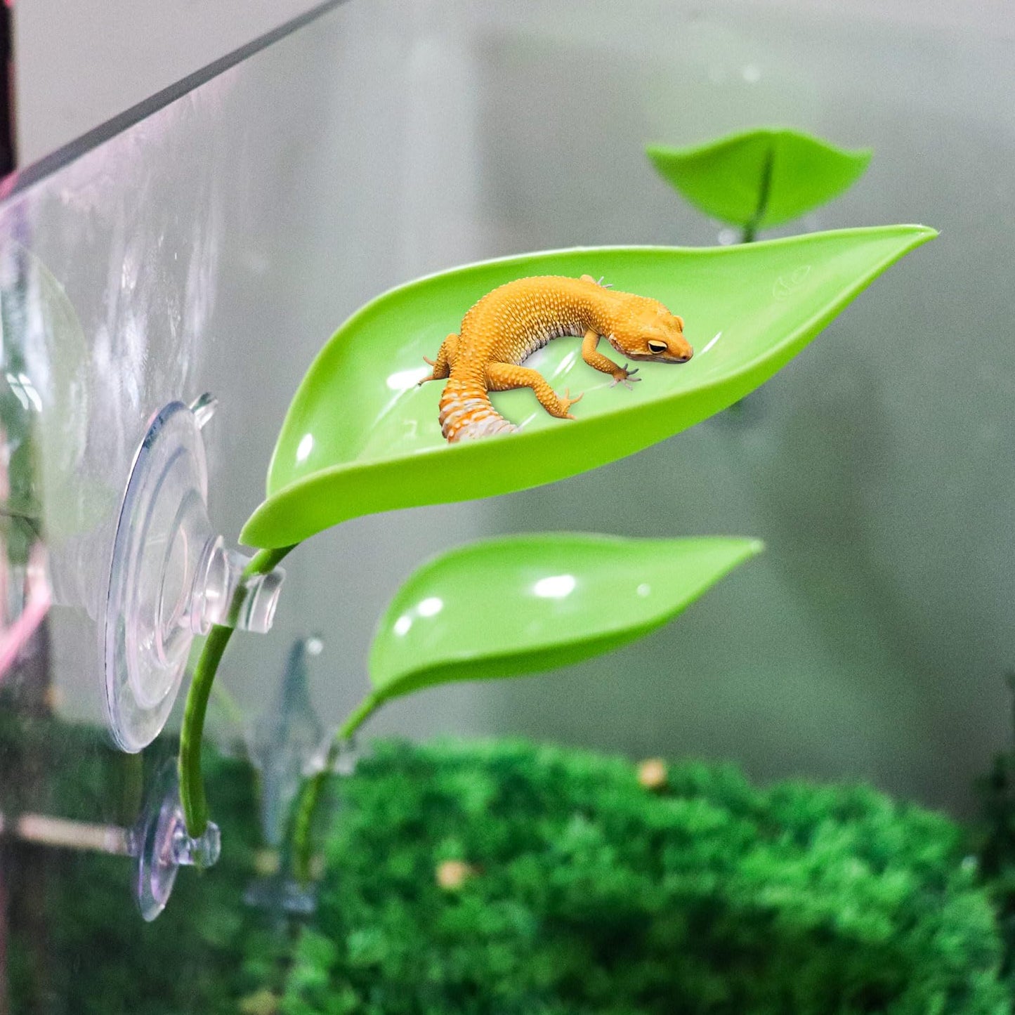 MHLLGN 3 Pack Plastic Leaf Decorations with Suction Cups, Gecko Tank Accessories, Reptile Terrarium Decorations for Crested Geckos, Leopard Geckos