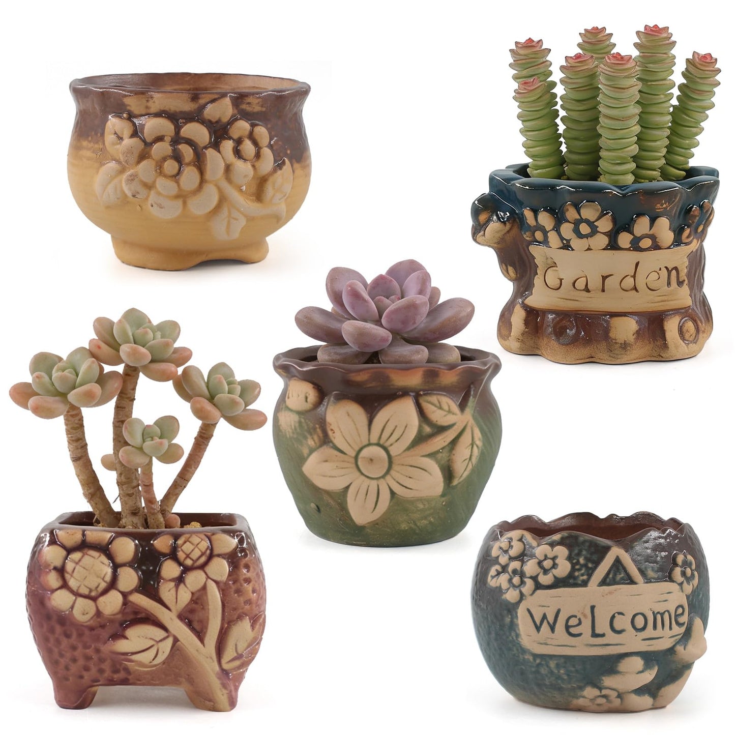ginojex Succulent Ceramic Garden Pots Small Plant Planter Container with Drainage Set of 5 for Home Office Decor