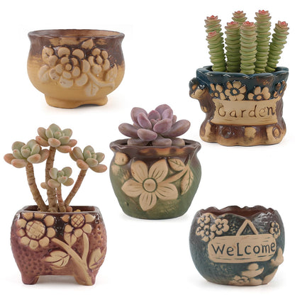 ginojex Succulent Ceramic Garden Pots Small Plant Planter Container with Drainage Set of 5 for Home Office Decor