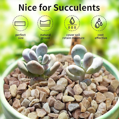 FANTIAN 5lbs Natural Pea Gravel Pebbles, 3/8 Inch Decorative Succulent Rocks Pebbles for Indoor Plants. River Rocks for Vase and Outdoor Garden Landscaping Rocks