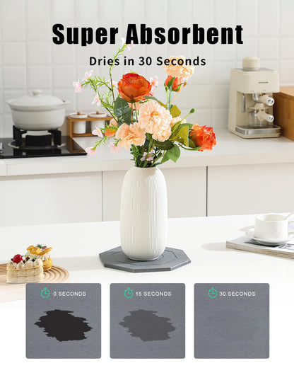 Diatomaceous Earth Plant Saucer Instant Dry, 2 Pack 12 inch Super Absorbent Plant Trays for Pots, Plant Water Catcher Tray, Plant Drip & Drainage Tray for Indoor, Gray