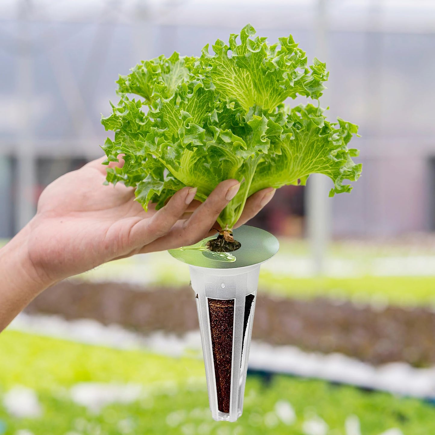 Hugloogn 160PCS Hydroponics Growing Baskets,Plant Seed Pod Kit,Grow Anything Kit,Indoor Garden System Accessories Includes 50pcs Sponges,50pcs Labels,30pcs Replacement Baskets,30pcs Domes