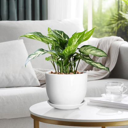 YUFDA 8 Inch Ceramic Planter, Plant Pots with Drainage Hole and Separable Saucer,Indoor-Outdoor Round Succulent Orchid Flower Pot,Indoor pots for Plants(Smooth White,Plant Pot only)