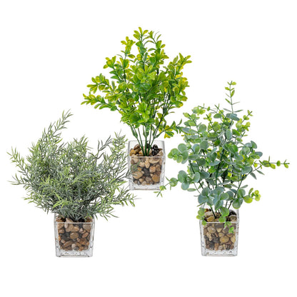 MyGift Artificial Rosemary Eucalyptus and Boxwood Plants Potted in Clear Glass Square Pots, Assorted Faux Greenery Indoor Home Table Centerpiece Office Desk Decor, 3 Piece Set
