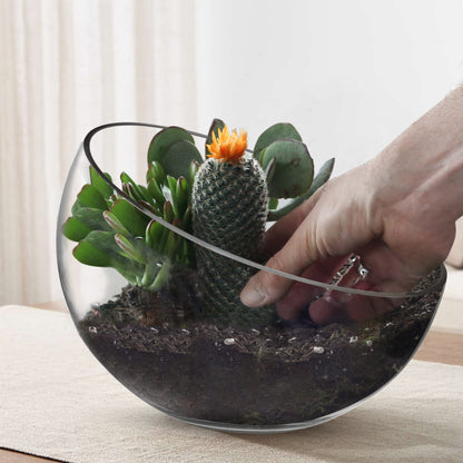 Royal Imports Clear Glass Slant Cut Tilted Angled Bubble Ball Decorative Serving Bowl For Buffet Centerpiece, Plant Terrarium, Flower Vase, Snack Salad fruit Candy Dish