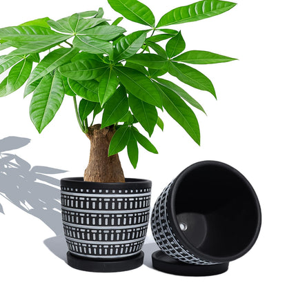vensovo 5.8 Inch Boho Plant Pots Indoor - Artisanal Succulent Pots with Drainage Holes and Saucer, Cement Pots for Indoor Plants, Flower Pot with Rubber Pot Feet, Set of 2, White Lines and Black