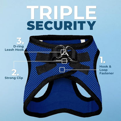 Best Pet Supplies Voyager Step-in Air All Weather Mesh Harness and Reflective Dog 5ft Leash Combo with Neoprene Handle, for Small, Medium and Large Breed Puppies - Royal Blue/Black Trim, X-Small