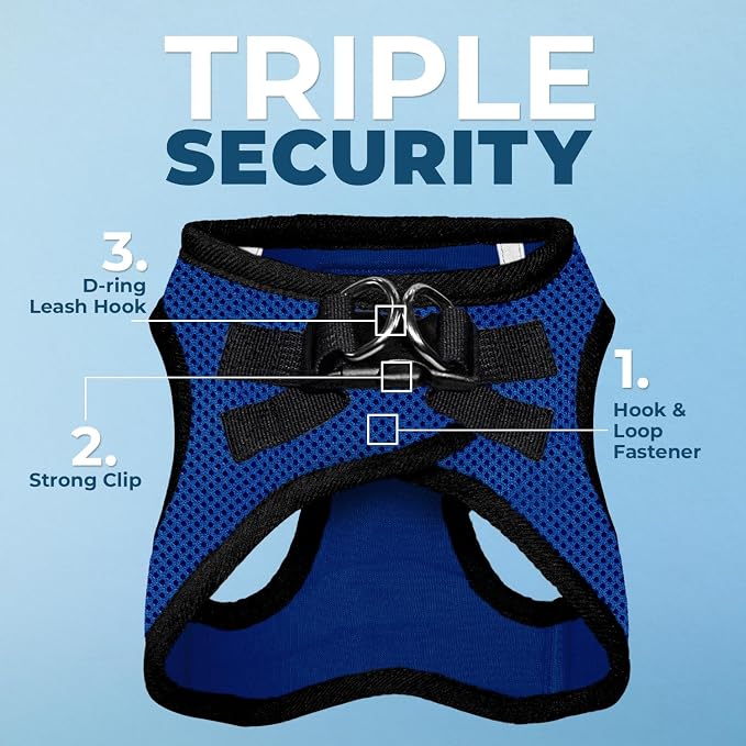 Best Pet Supplies Voyager Step-in Air All Weather Mesh Harness and Reflective Dog 5ft Leash Combo with Neoprene Handle, for Small, Medium and Large Breed Puppies - Royal Blue/Black Trim, Small