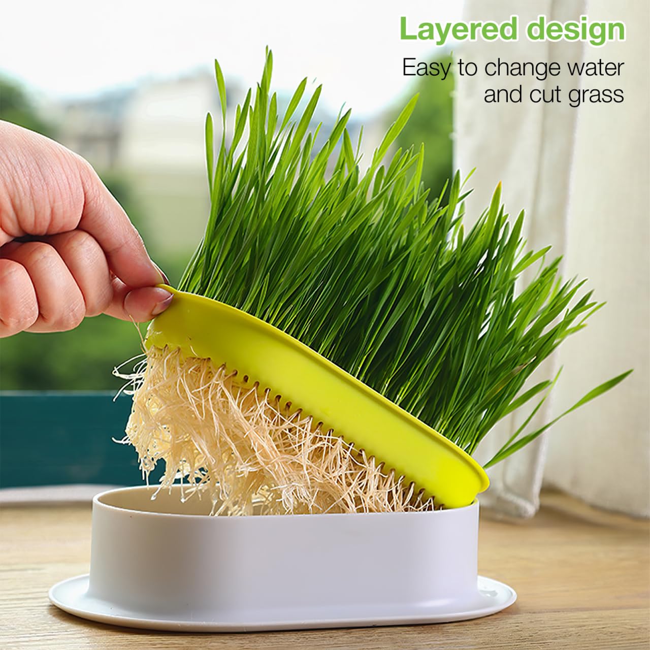 Ipetboom Cat Grass Planters Indoor Hydroponic Soilless Growing Box with Large Water Reservoir Practical Cat Grass Pot for Easy Home Cultivation 7.44X4.84X1.77In