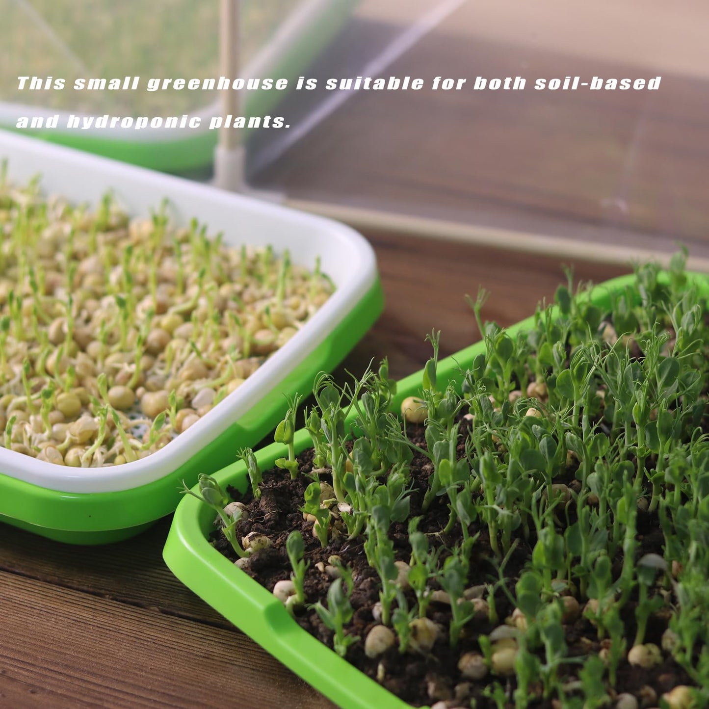 Mini Greenhouse for Indoor Plants ,Nursey Greenhouse for Seed Starter Tray,Plant Cover Freeze Protection,Small Green House for Seed Germination Kit