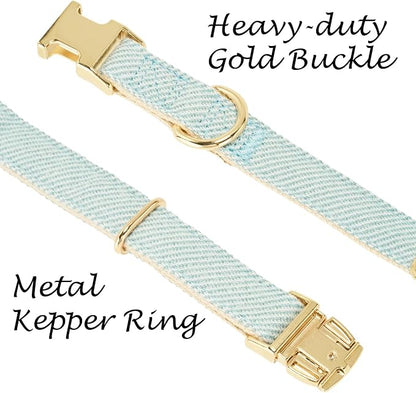 Luxury Soft Cotton Tweed Fabric Dog Collar & Leash Set with Gold Buckle – Durable Fabric, Stylish Design for Everyday Walks(Large LtBlue)