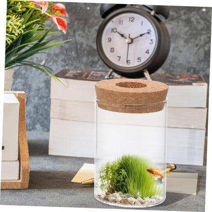 MAGICLULU Plant Pots Succulents Terrarium Glass Holder Flower Arrangement Vase Decor Office Flower Pot