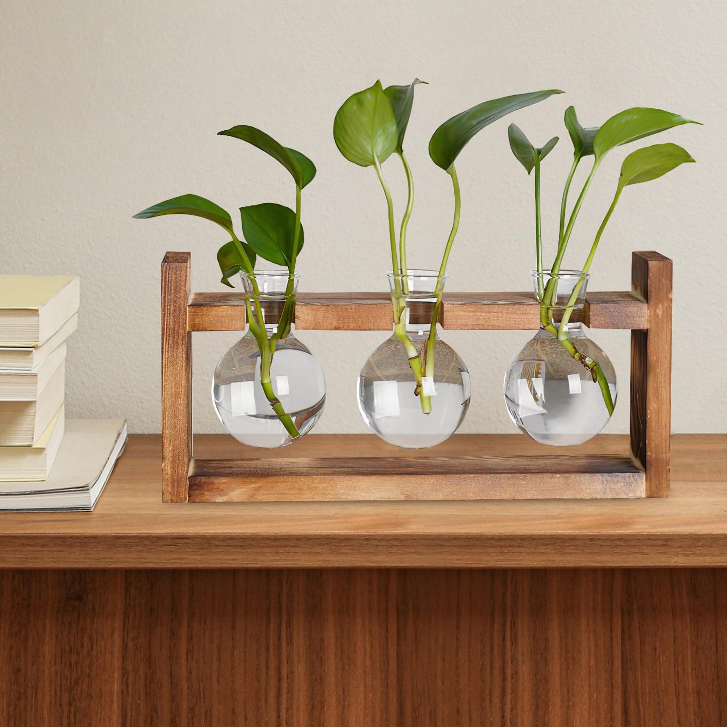 Veemoon Glass Flower Vase with Wooden Stand, High Borosilicate Glass Hydroponic Plant Terrarium for Indoor Home Décor and Tabletop Gardening