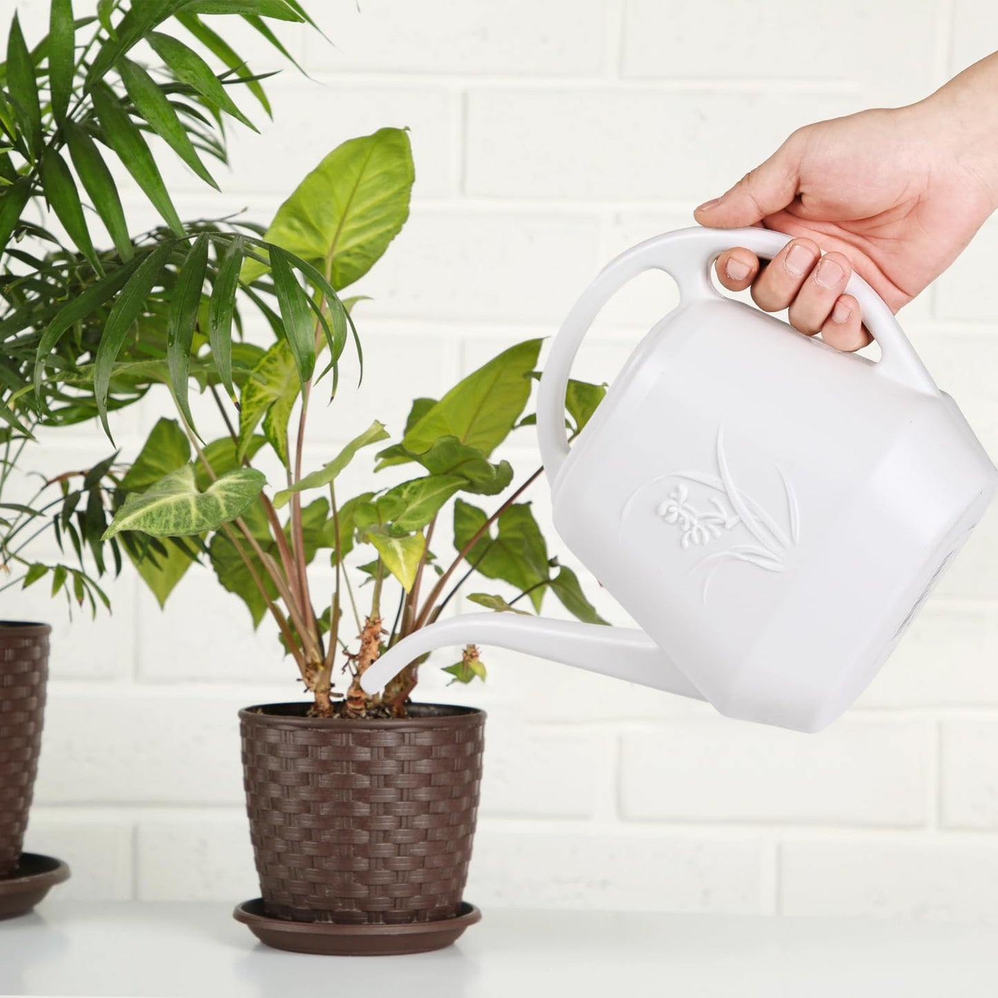 ZXJ Plant Watering Can - for Indoor and Outdoor Home Garden Plants - with Long Spout - White - 1/2 Gallon