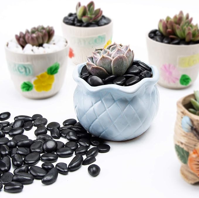 Black Small Decorative Pebbles - 2LB Gravel River Rock,Natural Polished Decorative Stones 3/8" Gravel Size,Pebbles Gravel for Bamboo Plants,Succulent,Home Decor,Landscaping,Vase Fillers and More.