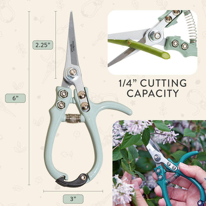 Modern Sprout Pruning Shears - Herb Snipping Scissors- Lightweight Gardening Tools W/Easy Lock - Flower Cutter Garden Shears - Carbon Steel Blade + Reusable Holster (Sage, 1-Pack)