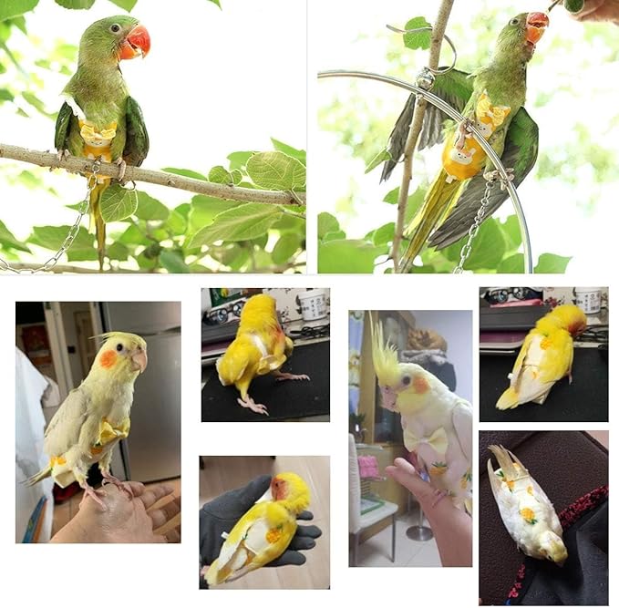 Diaper Flight Suite Liners for Birds Protective Nappy with Waterproof Inner Layer Cute Urine Wet Suit for Parrot Macaw African Budgies Conure Monk Parakeet (XS,Pink)