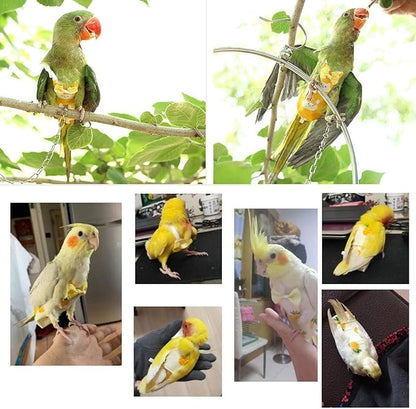 Diaper Flight Suite Liners for Birds Protective Nappy with Waterproof Inner Layer Cute Urine Wet Suit for Parrot Macaw African Budgies Conure Monk Parakeet (L,White)