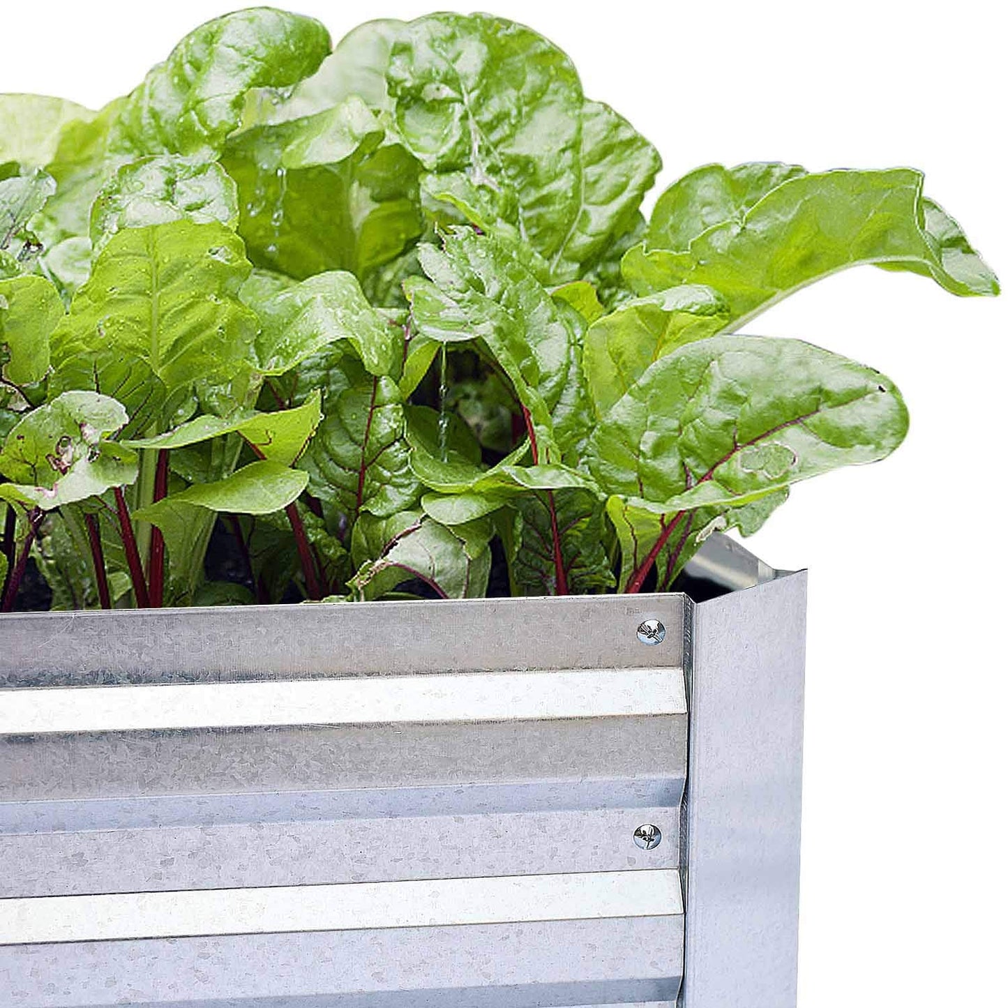 FOYUEE Galvanized Raised Garden Bed (8x4x1ft) – Overlapping 4-Inch Panels + 4 Support Bars, Heavy-Duty Metal Planter Box for Vegetables, Herbs, Flowers, No-Deformation Steel Garden Kit
