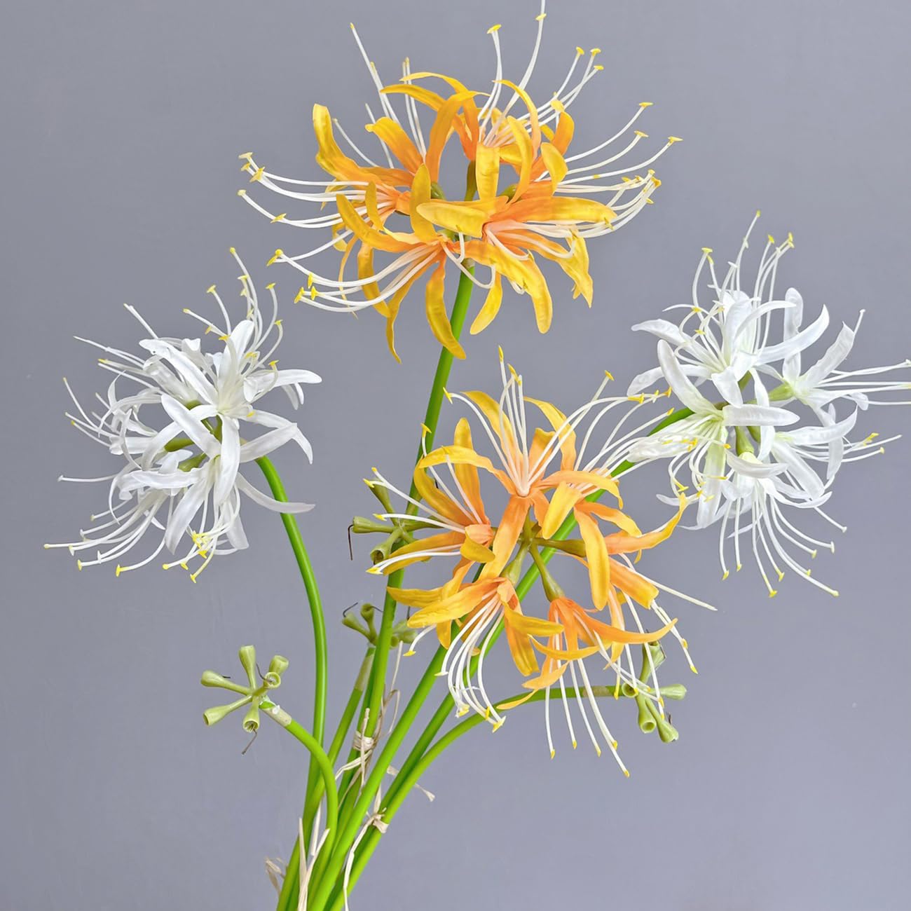 Qingriver 6 Sets 67 CM Lycoris Radiata Artificial Spider Lily Flowers Stonegarlic Clusteramaryllis for Home Garden Wedding Party Decor (Pure White)
