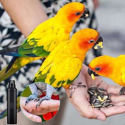 Lasnten 2 Pcs Bird Nail Grinder with Clipper Bird Nail Trimmer File Pet Grooming Tool for Parrot Budgerigars Parakeets Myna Conure Finches Lovebirds(Black)
