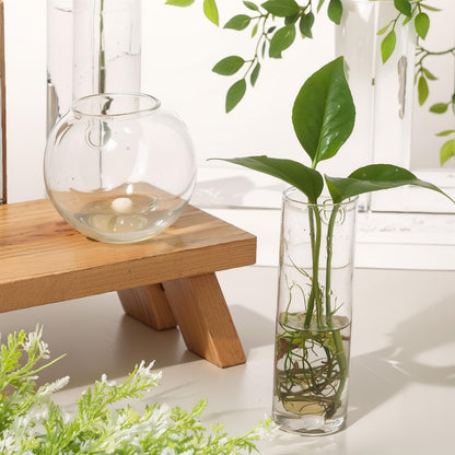 Baderke 6 Pcs Glass Wall Hanging Vase Indoor Propagation Planter with Hanging Suction Cup and Plastic Invisible Traceless Hanger for Hydroponic Flower Succulent Spring Summer Wedding Wall Mount Decor