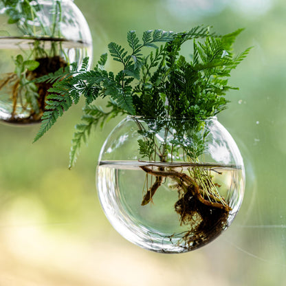 Window Propagation Stations, Oblate Glass Terrariums Planter with Suction Cup Hook, Wall Hanging Planters for Hydroponics Plants, Home, Office, Bathroom, Living Room Decor, Gift for Plant Lovers (4)