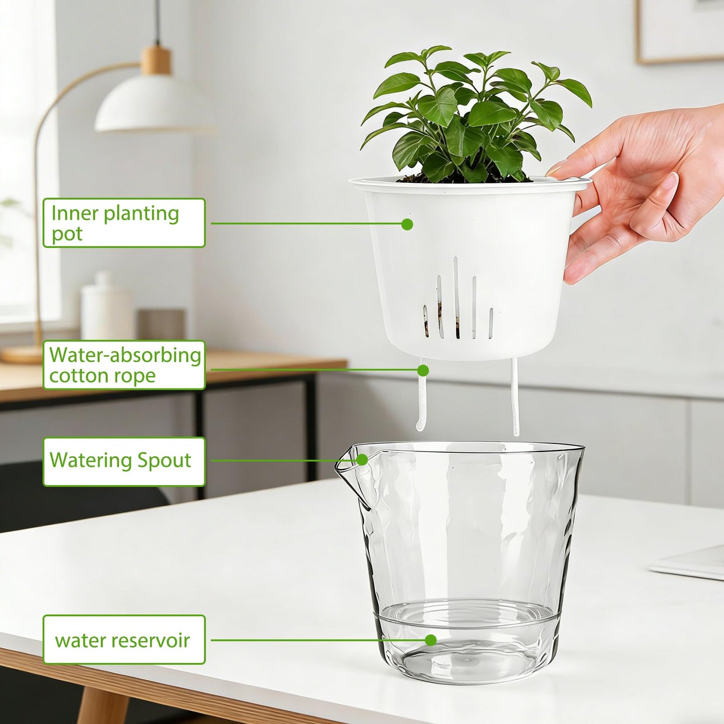 OFFKITSLY 4 Pack Self Watering Plant Pot, 6/4 Inch Plastic Self Watering Pots for Indoor Plants African Violet Pots Easy Plant Self Watering Pot with Wick Rope for Plants Flowers