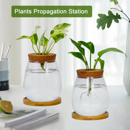 Desktop Plants Terrarium Propagation Station Hydroponic Planters Retro Oval Glass Vase with Lid and Stand Home Office Decoration Gifts 2 Pack