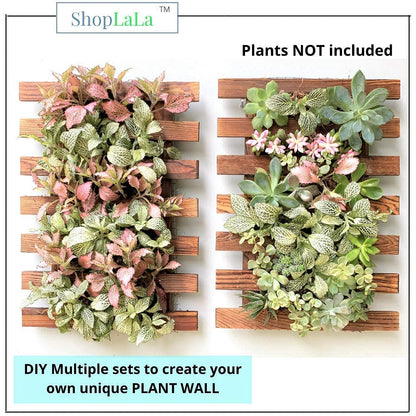 ShopLaLa Wall Planter - 2 Pack Wooden Orchid Planter Frame Display Outdoor Plants, Wall Mount Air Plants Succulent Holder Hanger, Vertical Garden Plant Wall Decor Macetas para Orquideas 15.7" (40cm)