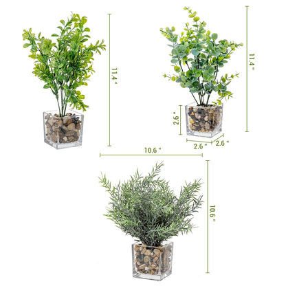 MyGift Artificial Rosemary Eucalyptus and Boxwood Plants Potted in Clear Glass Square Pots, Assorted Faux Greenery Indoor Home Table Centerpiece Office Desk Decor, 3 Piece Set