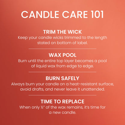 Yankee Candle Large Jar Scented Candle with up to 150 Hour Burn Time, Premium Plant Wax Blend for Consistent Burn, 22 oz Jar Candle with Room Filling Fragrance, Spiced Pumpkin