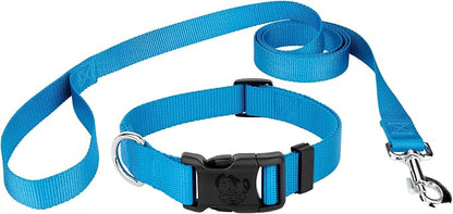 Country Brook Petz - Everyday Nylon Dog Collar and Leash - 10+ Cool Colors (3/8 Inch, 2XS, Ice Blue)