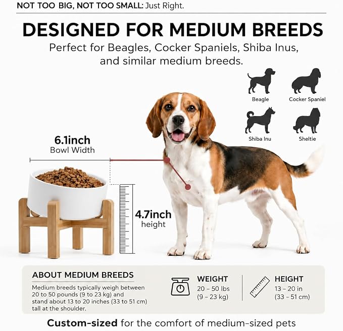 hjn Elevated Ceramic Dog Bowl 15°Slanted Raised Dog Bowl with Bamboo Stand for Small Medium Dogs and Cats, Pet Feeder -3.6-Cup (850ml)-White