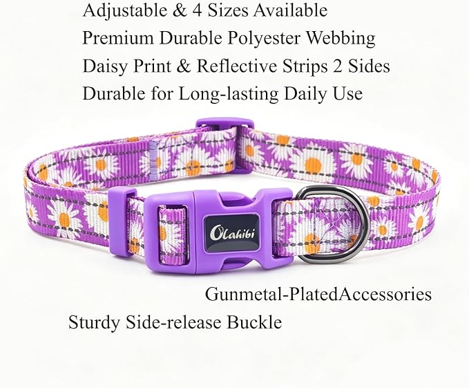 Dog Collar Leash Set, Floral Pattern, with Safety Reflective Strips, 5 ft Matching Leash, Neoprene Padded Handle, Adjustable 4 Sizes for Small Medium Large Dogs.(XS, Purple Daisy)