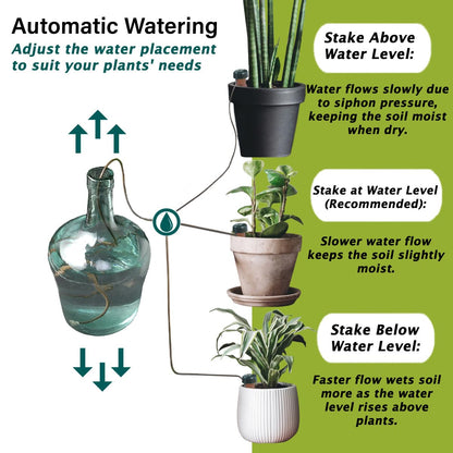 Blumat Classic Self-Watering Stakes - Prevents Overwatering and Underwatering for Healthy Growth While You are Away - Ideal for Indoor Plant Watering, 12 Pack, wo Adapter