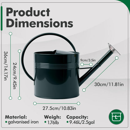 Galvanized Iron Watering Can for Indoor Plants, Oval Watering Cans for House Plant Garden Flower, Long Spout Water Can for Outdoor Watering Plants 9.46L 2.5 Gallon