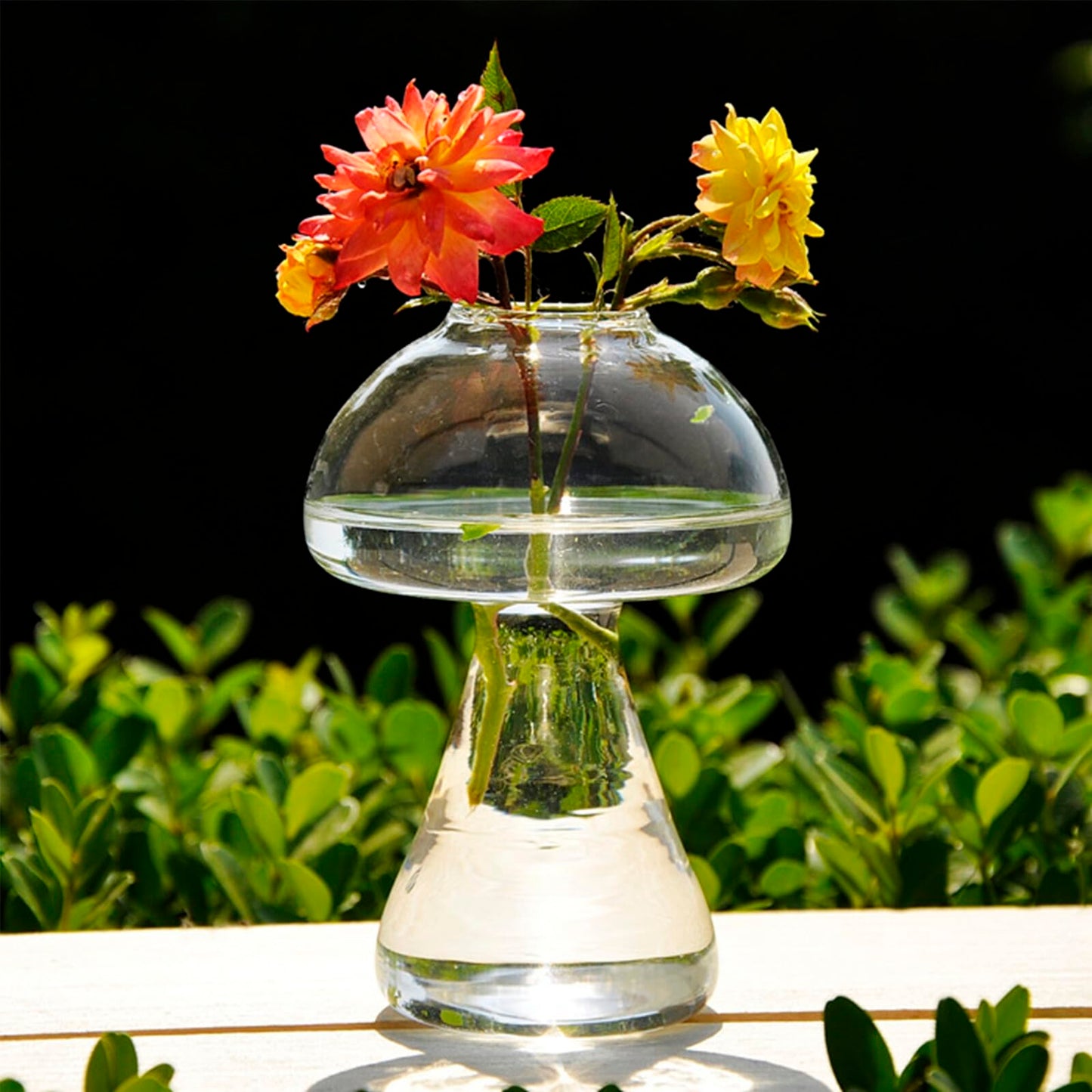 Kichvoe Glass Mushroom Vase Small 12x8cm Decorative Flower Planter Hydroponic Glass Terrarium for Home and Desktop Plant Arrangement