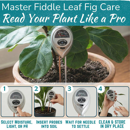 Houseplant Resource Center Fiddle Leaf Fig 3-in-1 Soil Moisture Meter for Plants – Best Indoor Plant Water Meter for Potted Houseplants - Light & Moisture Sensor Probe for Optimal Growth