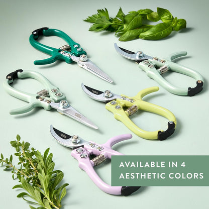 Modern Sprout Pruning Shears - Herb Snipping Scissors- Lightweight Gardening Tools W/Easy Lock - Flower Cutter Garden Shears - Carbon Steel Blade + Plastic-Free Reusable Holster (Multicolor 12 Pcs)