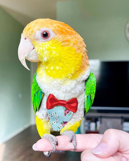 UKJENT Bird Diaper Protective Parrot Nappy 2 Pack, Reusable Outdoor Flight Suit with Waterproof Inner Layer, Machine Washable Cute Urine Wet Suit for Parrots Medium(M)