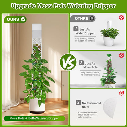 GJL Stackable D Shape Self Watering Moss Pole for Monstera,Plastic Sphagnum Moss Pole with Watering Dripper, Indoor Climbing Plant Support for Pothos & Philodendron