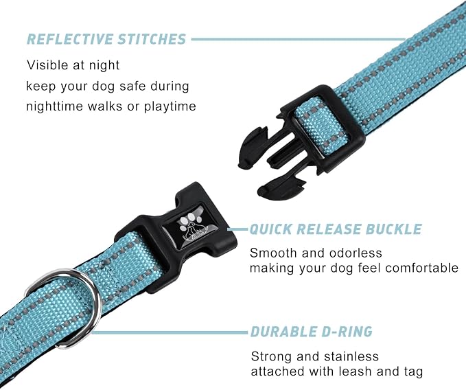 FURRYFECTION Reflective Dog Collar and Leash Set With Quick Release Buckle, Padded Neoprene Adjustable Nylon for Small Medium and Large Dogs (Small Collar+5FT Leash, Blue)