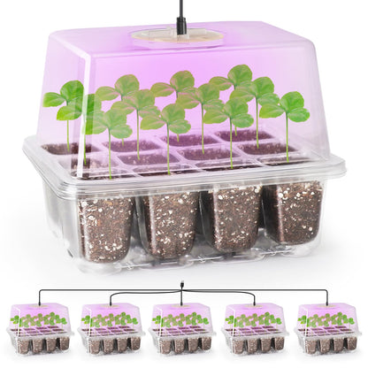 The Bundle of Bonviee 5 Packs Seed Starter Tray with Grow Light and 36 Packs Variety Sizes Clear Nursery Pots