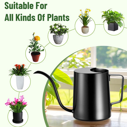Lizhluzh 20oz/600ml Watering Can Indoor Plants, Stainless Steel Plant Watering Can with Long Spout (Black)