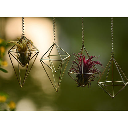4Pcs Hanging Metal Air Plant Holder with Chain Mini 2 Style Tillandsia Geomitric Airplants Hanger Air Fern Cage Decor for Home and Office