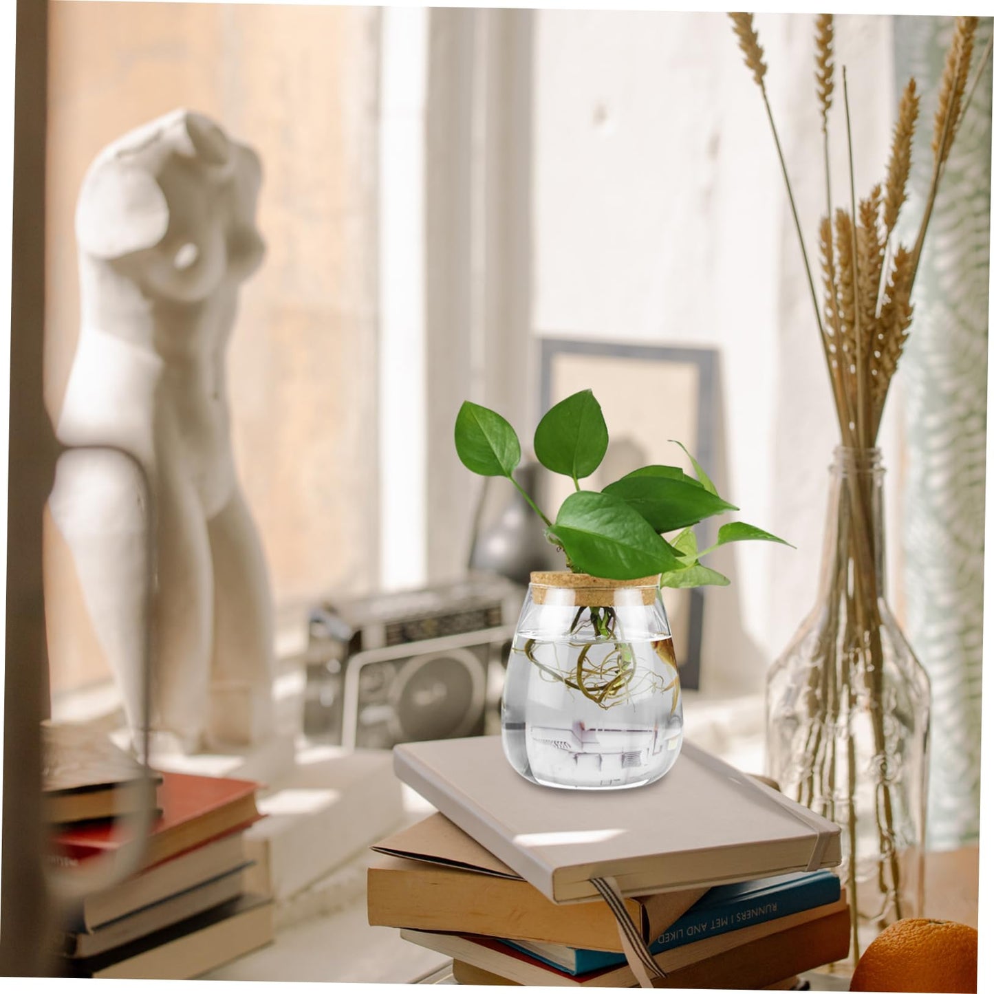 MAGICLULU 2pcs Glass Plant Terrarium Holder for Desktop Decor Moss Plant Bottle for Indoor Greenery Transparent Watering for