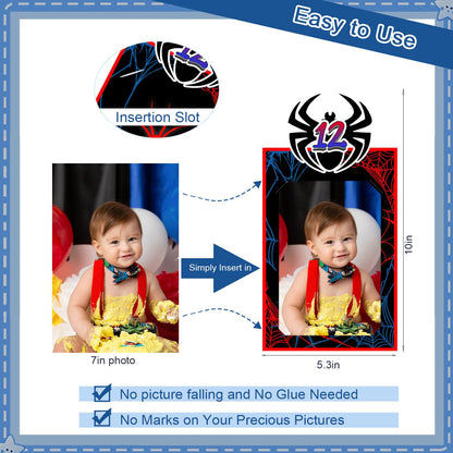 Spider 1st Birthday Party Decorations, Spider Web 12 Monthly Milestone Photo Banner Baby First Year Down Cartoon Spider Theme Photo Table Centerpiece for Boy Spider First Theme Party