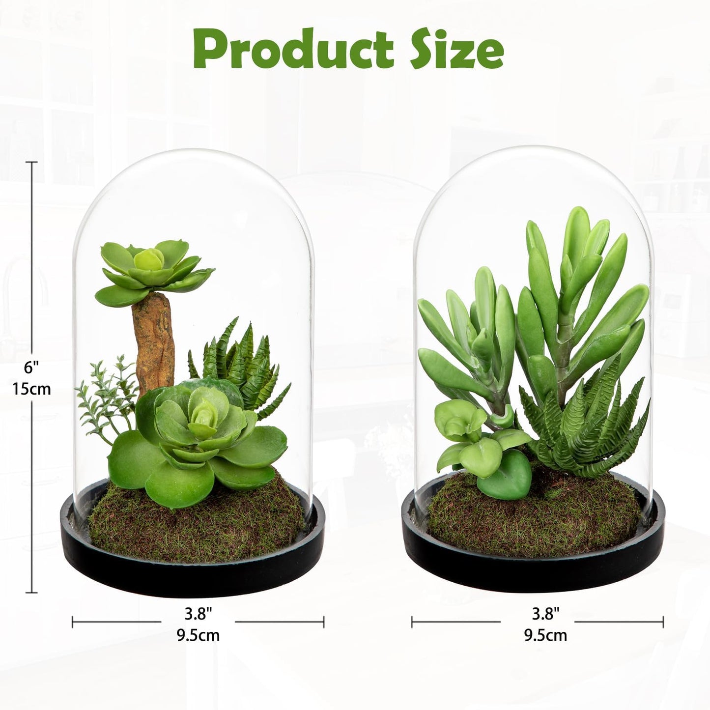 GnFlus Set of 2 Artificial Succulents Plants in Glass Dome with Featuring Sand Moss, Small Fake Aloe Succulents Plants Faux Plants Indoor Decor for Home Office Table Desk Shelf Room Hostess Gift