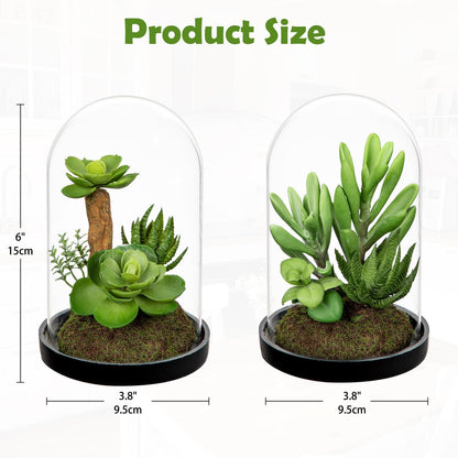 GnFlus Set of 2 Artificial Succulents Plants in Glass Dome with Featuring Sand Moss, Small Fake Aloe Succulents Plants Faux Plants Indoor Decor for Home Office Table Desk Shelf Room Hostess Gift
